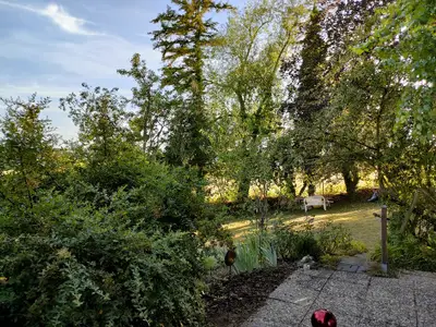 Terrasse / Garten