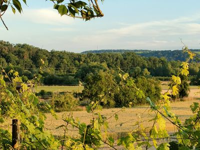 Ausblick Garten