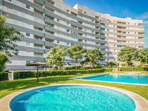 23741879-Ferienwohnung-6-El Campello-300x225-4