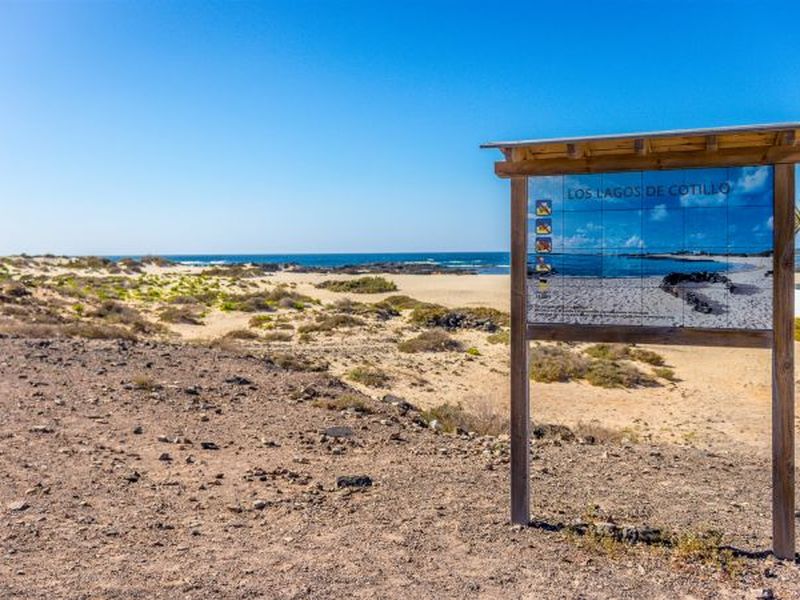 22409763-Ferienwohnung-3-El Cotillo - Fuerteventura-800x600-0