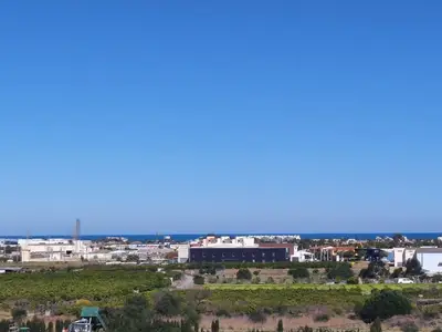 ViewSummer