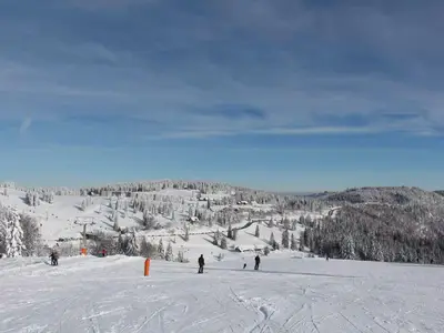 AreaWinter20KM