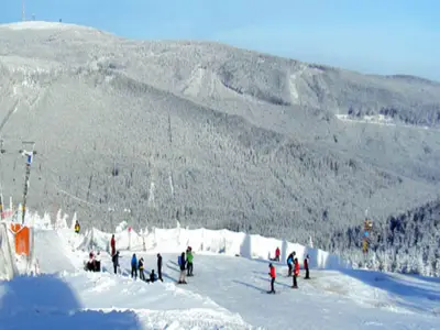 AreaWinter20KM