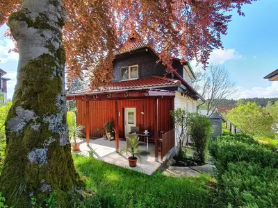 Ferienwohnung für 3 Personen (43 m²) in Elend 3/10