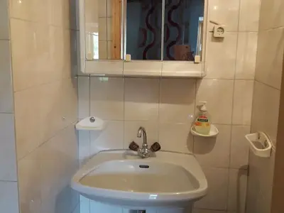 Ferienwohnung für 4 Personen (38 m²) in Ellbögen 5/10