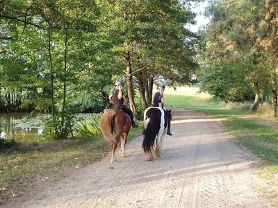 Ausritt zum Weiher am Bauernhof Schneidmühle