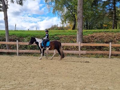 Reitplatz am Bauernhof Schneidmühle