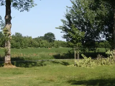 Ferienwohnung für 5 Personen (90 m²) in Ellingstedt 5/10
