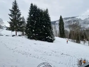 Ferienwohnung für 2 Personen (31 m²) in Ellmau