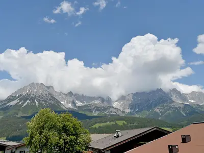 App. Löwenzahn - Ausblick