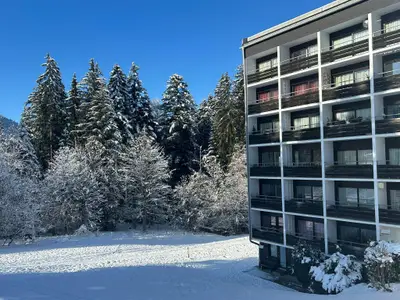siehe