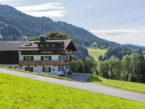 Ferienwohnung für 4 Personen (70 m²) in Ellmau