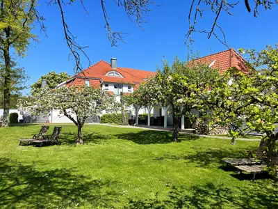 mit Blick aus dem Garten