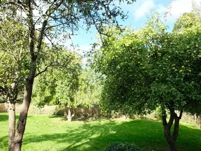 Ferienwohnung für 4 Personen (60 m²) in Kalkhorst 6/10