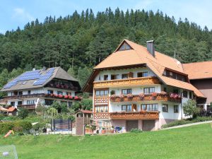 Ferienwohnung für 4 Personen in Elzach