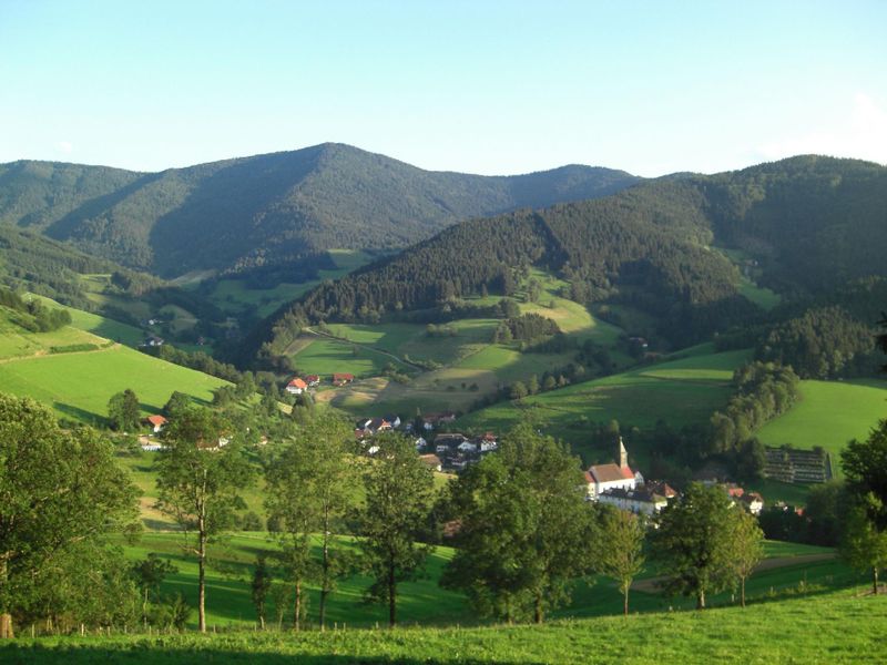 22421987-Ferienwohnung-2-Elzach-800x600-1