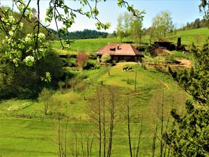 22666187-Ferienwohnung-2-Elzach-300x225-0