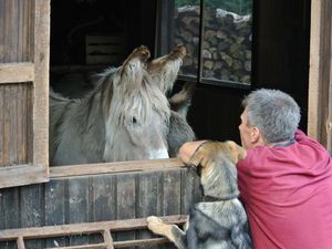 7059190-Ferienwohnung-6-Elzach-300x225-5