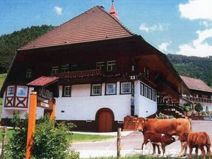 23589566-Ferienwohnung-6-Elzach-300x225-1