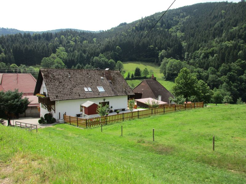 23589566-Ferienwohnung-6-Elzach-800x600-2