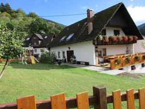 23589566-Ferienwohnung-6-Elzach-300x225-3