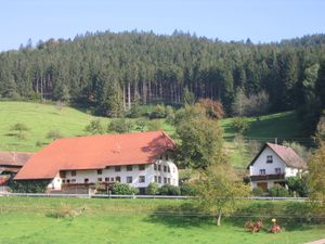 Ferienwohnung für 4 Personen (58 m&sup2;) in Elzach
