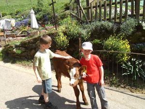 18382713-Ferienwohnung-5-Elzach-300x225-5