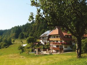 18288477-Ferienwohnung-2-Elzach-300x225-2