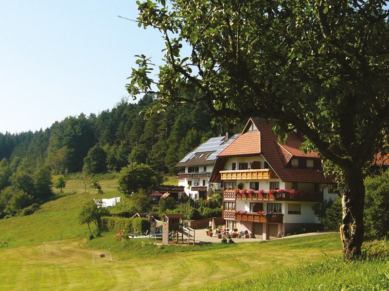 18288477-Ferienwohnung-2-Elzach-800x600-2