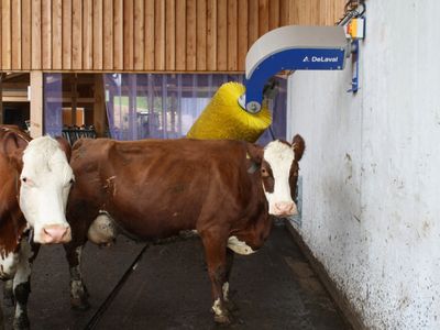 Ferienwohnung für 2 Personen (55 m²) in Elzach 7/10