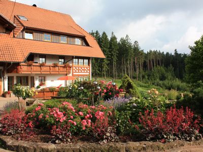 Unsere liebevoll gestaltete Gartenanlage