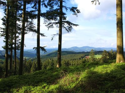 Wunderschöne Ausblicke bei gemütlichen Spaziergängen