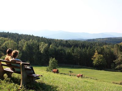 Die Ruhe der Natur genießen