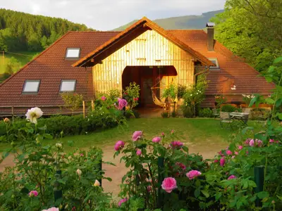 4. Hernis-Höfle ist umgeben von 80 duftende Rosensträuchern