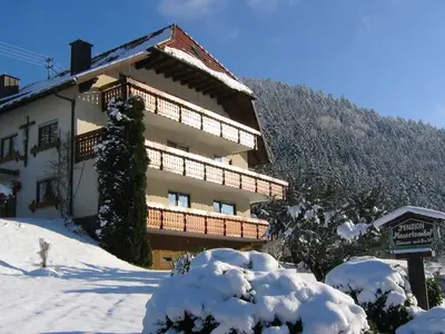 Ferienwohnung für 2 Personen (16 m²) in Elzach 4/10