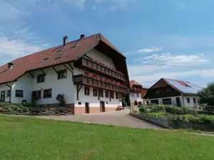 Ferienwohnung für 5 Personen (75 m²) in Elzach
