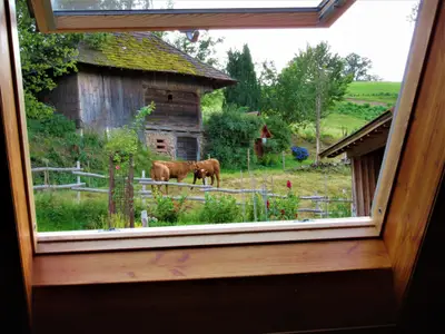 8. FeWo. Hernis-Höfle Ausblick Wohnbereich