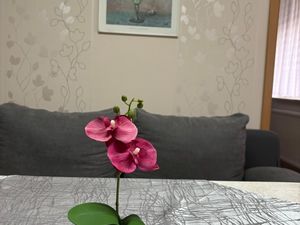 24038218-Ferienwohnung-2-Emden-300x225-2