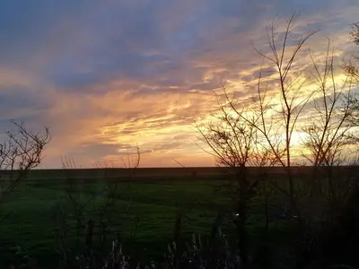 Blick zum Deich