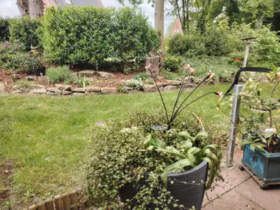 Gartenbereich