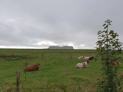 Ferienwohnung für 4 Personen (72 m²) in Emden 3/10