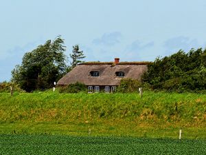 19171080-Ferienwohnung-4-Emmelsbüll-Horsbüll-300x225-2