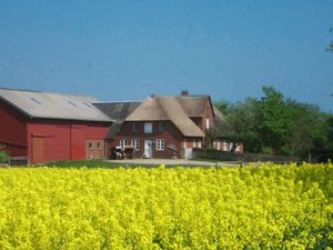 Ferienwohnung für 3 Personen (45 m²) in Emmelsbüll-Horsbüll