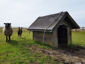 19405920-Ferienwohnung-4-Emmelsbüll-Horsbüll-300x225-5