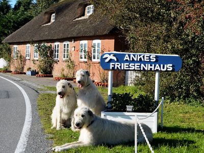Ankes Friesenhaus - Hunde herzlich willkommen!
