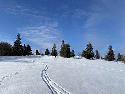 Der Schwarzwald im Winter