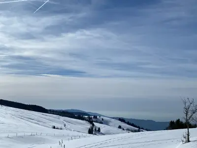 Der Schwarzwald im Winter