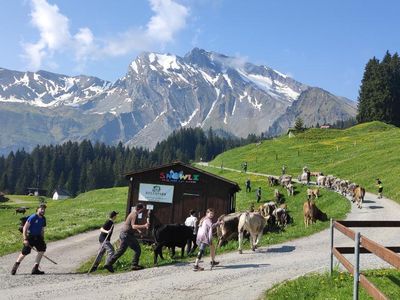 Wanderweg ab Stockhütte Bergstation mit Sicht auf Schwalmis