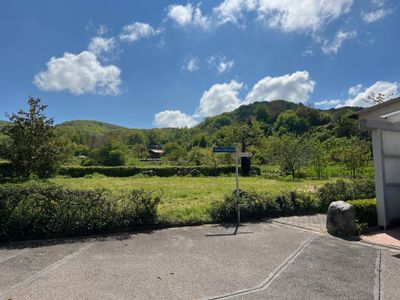 Blick auf Weinberge vom Kaiserstuhlweg