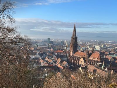 Freiburger Münster